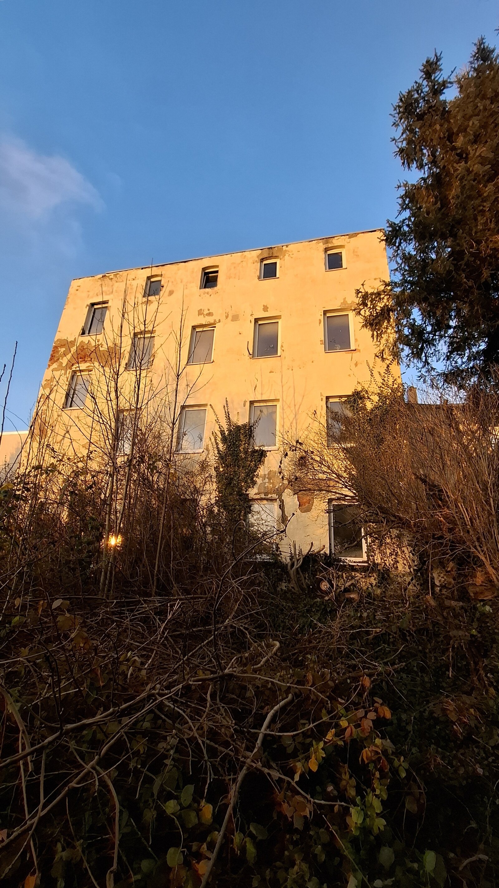 Rückansicht Hintergebäude Rückansicht Hintergebäude